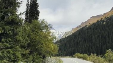 Arka planda kar dağı ve orman, xinjiang, china ile dolambaçlı kırsal yolda seyahat eden araç