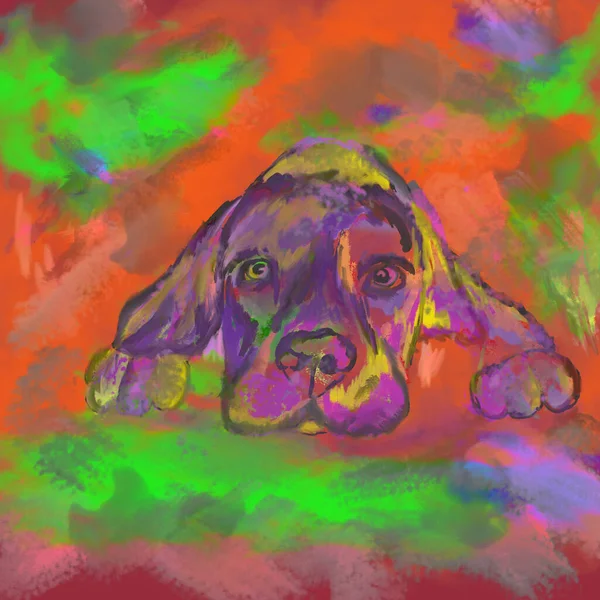 Dessin Mignon Chien Couleurs Vives — Photo