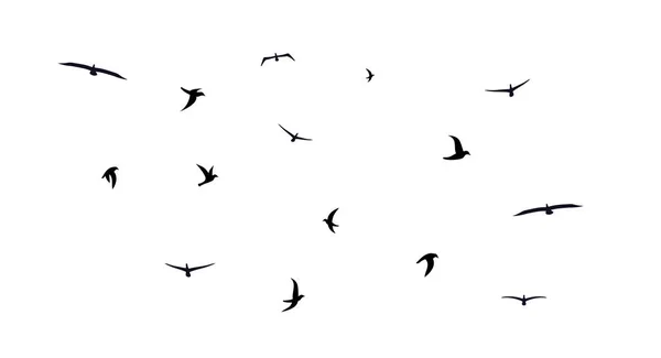 A flock of flying birds. Diverse mixed flock of different birds. Vector illustration — Stock Vector