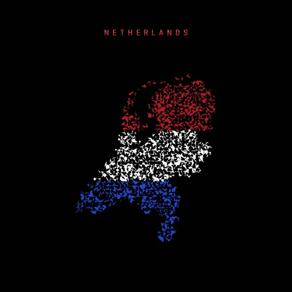 Hollandia Holland Zászló Térkép Kaotikus Részecskék Mintázata Holland Holland Zászló — Stock Vector