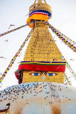 Katmandu, Nepal - 29 Ocak 2021: Katmandu, Nepal 'de Boudhanath Stupa.