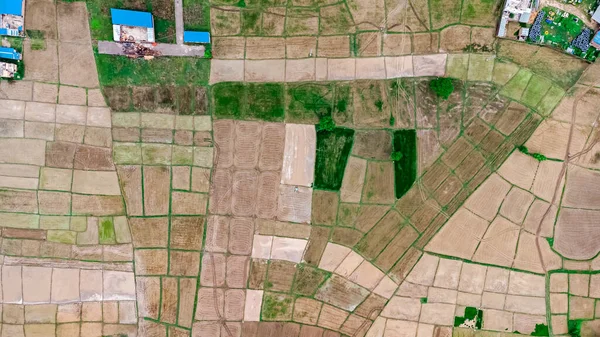Vista Aérea Terras Cultivadas Frescas Terras Agrícolas Divididas Blocos Retangulares — Fotografia de Stock
