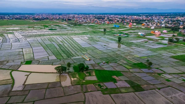 Vista Aérea Terras Cultivadas Frescas Terras Agrícolas Divididas Blocos Retangulares — Fotografia de Stock