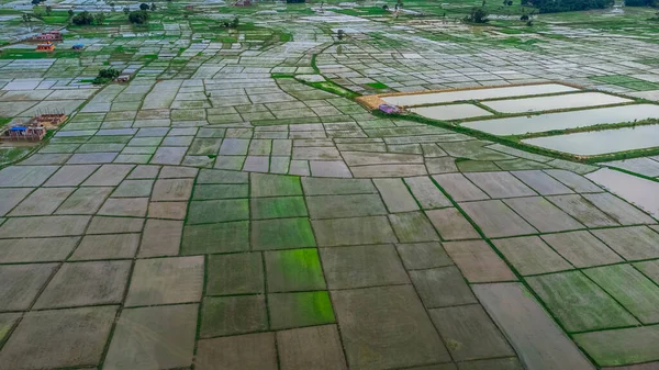 Vista Aérea Terras Cultivadas Frescas Terras Agrícolas Divididas Blocos Retangulares — Fotografia de Stock