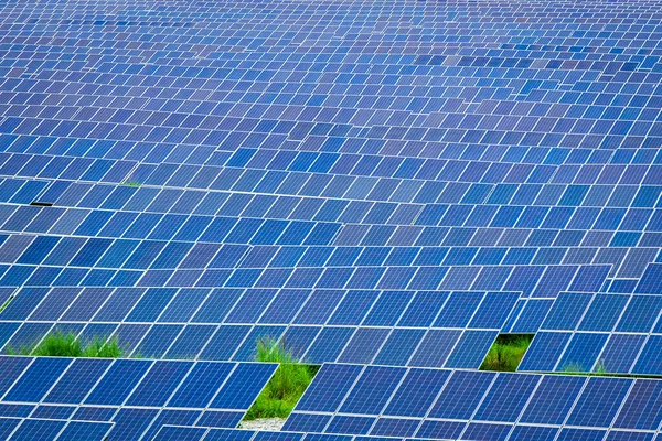 Muitos Painéis Solares Fotovoltaicos Fundo Uma Fazenda Solar — Fotografia de Stock