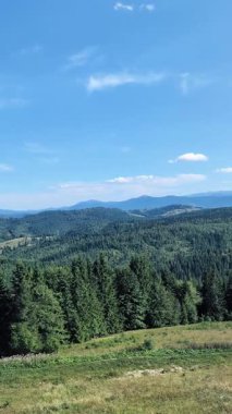 Güzel yaz manzarasının durağan görüntüsü.