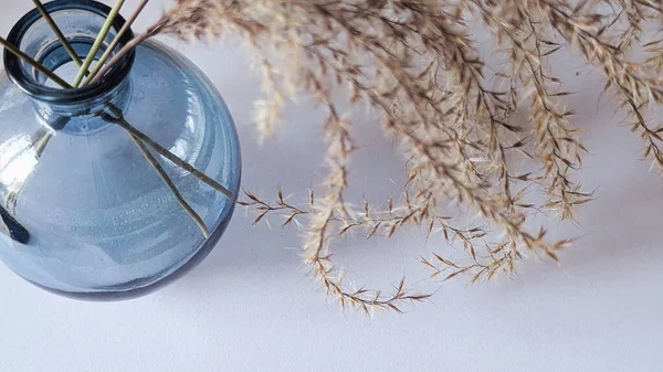 Kuru otların yatay yakın çekimi ve nötr arkaplanda mavi cam bir vazo.