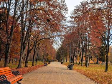 Turuncu ve russet ağaçlarıyla ve yatay simetrisiyle uzun ve boş sonbahar parkı bulvarı
