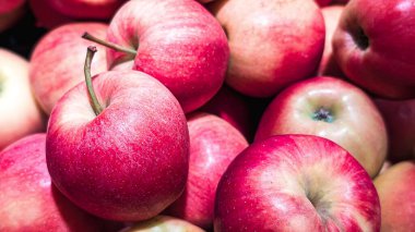 Doğal sapları olan taze olgun kırmızı elmaları kapatın.