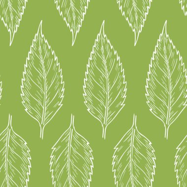 Kusursuz modellerin vektör çizimi. Organik bitkiler arka planı.