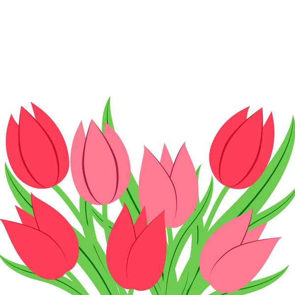 Tulipanes Vectoriales Color Sobre Fondo Blanco Flores Para Diseño Saludos — Vector de stock