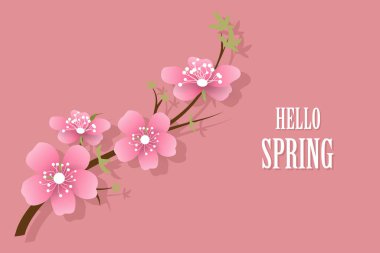 Sakura Hello Spring ile soyut bir arkaplan. Vektör illüstrasyonu
