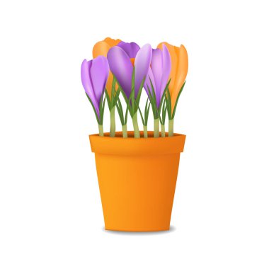 Kavanozdaki kraker. Bahar çiçekleri vektör çizimi beyaz arkaplanda izole