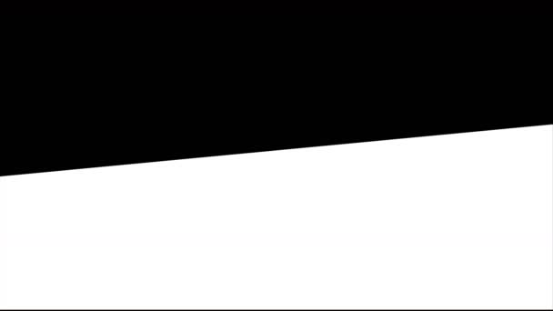黑色星期五 黑色和白色背景 黑色星期五广告横幅 — 图库视频影像