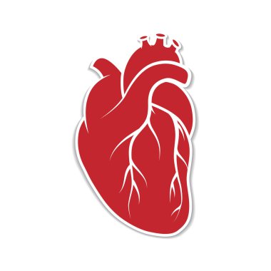 İnsan kalbinin sembolü. Bir insan organının iç kalbinin kağıt kesiği ikonu. Kırmızı bir kalp, beyaz kenarlı bir iç organ ve beyaz arka planda izole edilmiş bir gölge. Vektör illüstrasyonu