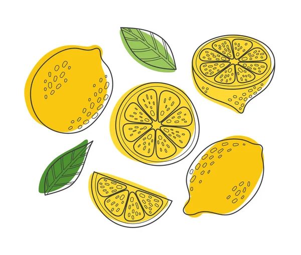 Lindo Trazado Mano Vector Conjunto Limón Rebanada Fruta Verano Dibujos — Vector de stock