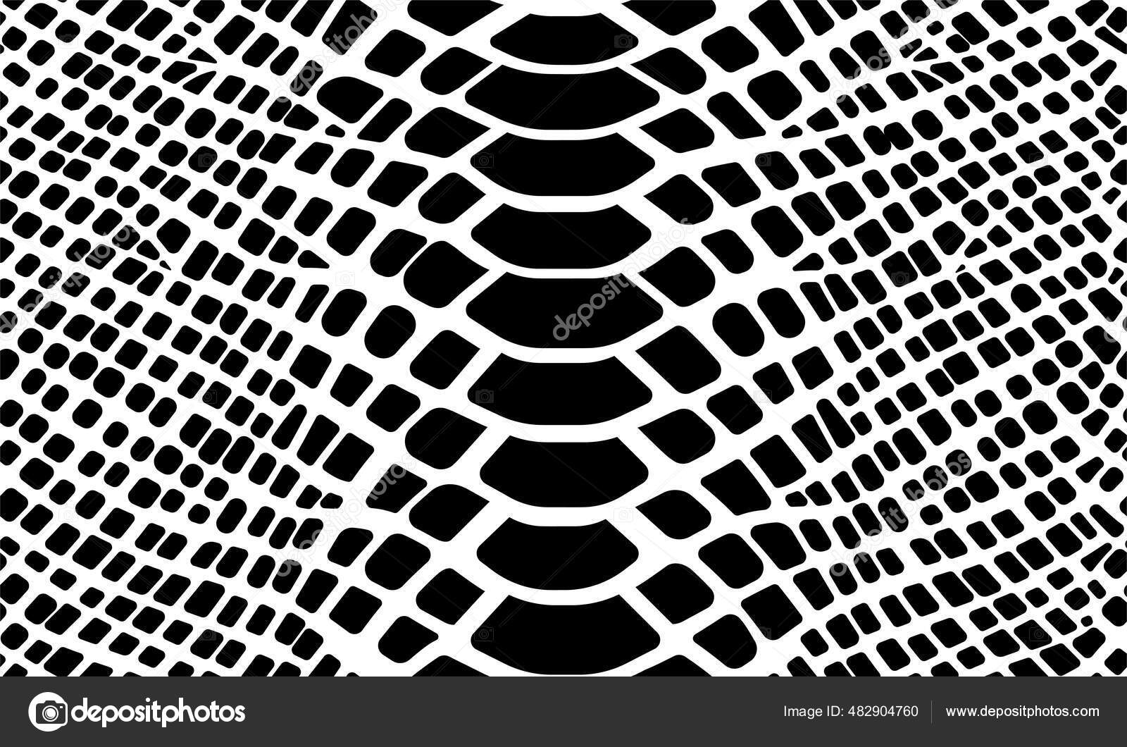 Trendy Snake Skin Vector Seamless Pattern Hand Drawn Wild Animal Stock ...