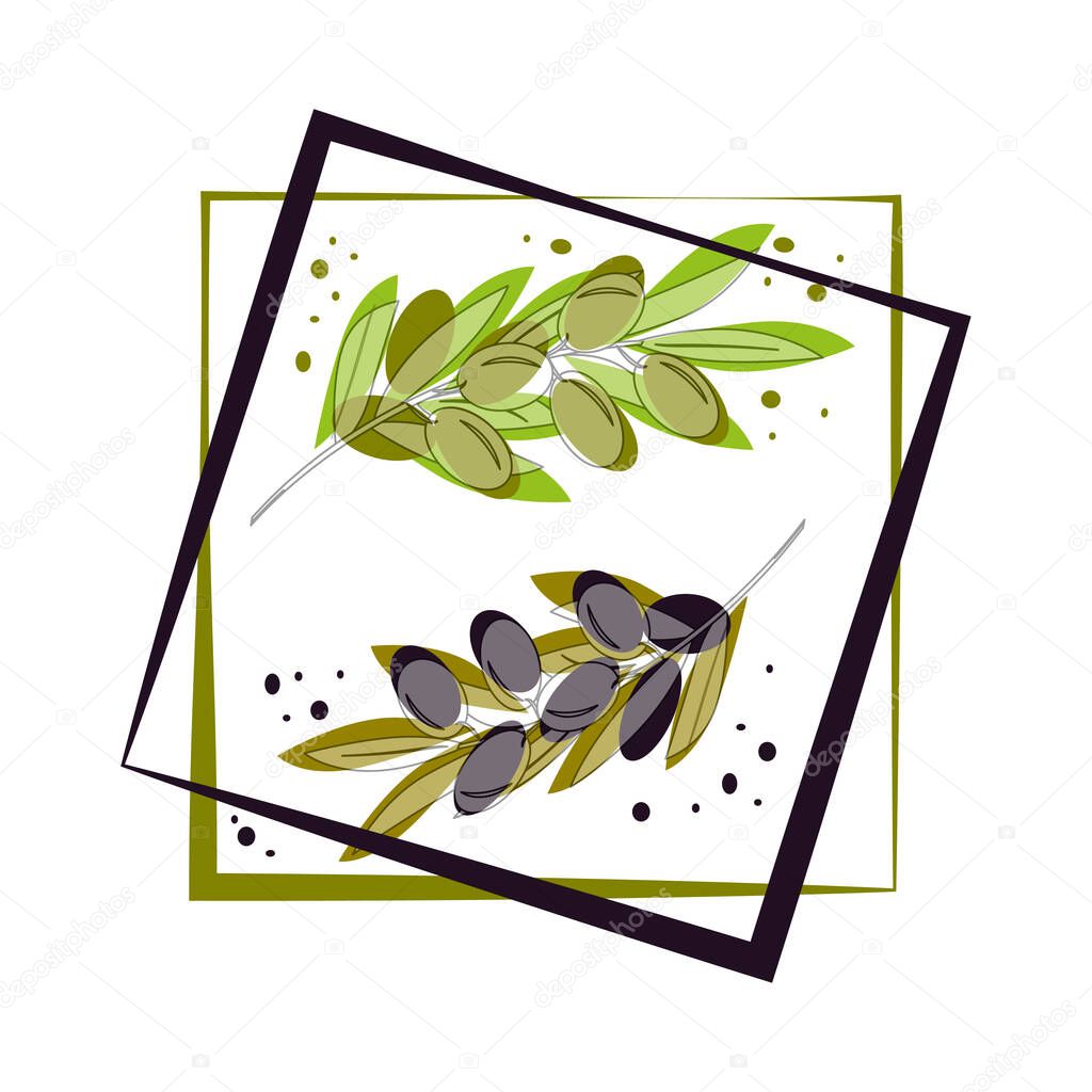 Olive tree branches with green and ripe olives, frame. Vector illustrations in pastel green and purple colors for design, farmers market, food labels, banners, stickers, textiles in watercolor style.