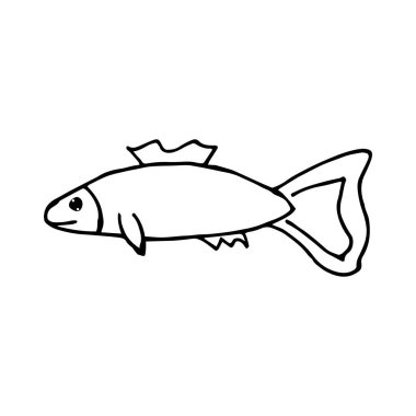 Karalamalı deniz balığı. Beyaz arka planda izole edilmiş bir deniz balığının el resmi. Vektör illüstrasyon etiketi, simge, tasarım ögesi