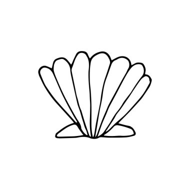 Deniz kabuğunu karala. Beyaz arka planda izole edilmiş bir kabuğun el çizimi. Vektör illüstrasyon etiketi, simge, tasarım ögesi