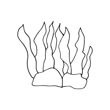 Karalama yosunu. Beyaz bir arka planda izole edilmiş bir yosun resmi. Vektör illüstrasyon etiketi, simge, tasarım ögesi