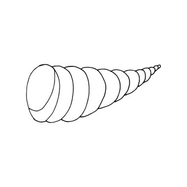 Deniz kabuğunu karala. Beyaz arka planda izole edilmiş bir kabuğun el çizimi. Vektör illüstrasyon etiketi, simge, tasarım ögesi
