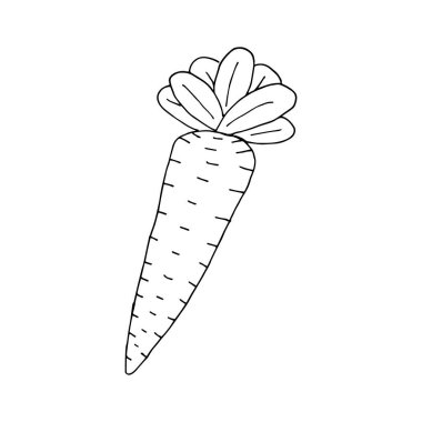 Havuç karalamak. Beyaz arka planda izole edilmiş bir havuç resmi. Vektör illüstrasyon etiketi, simge, tasarım ögesi