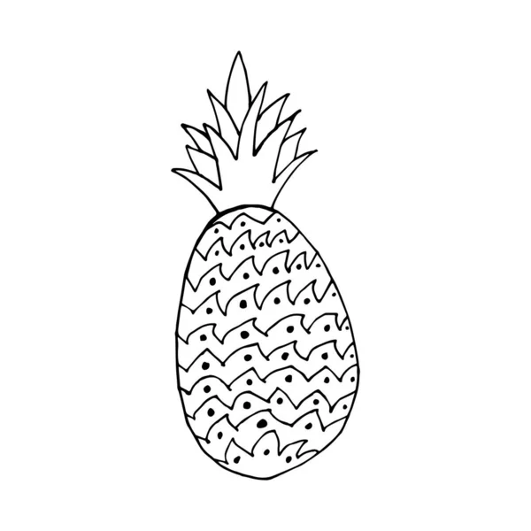 Doodle Icoon Ananas Contourtekening Van Een Ananas Geïsoleerd Een Witte — Stockvector