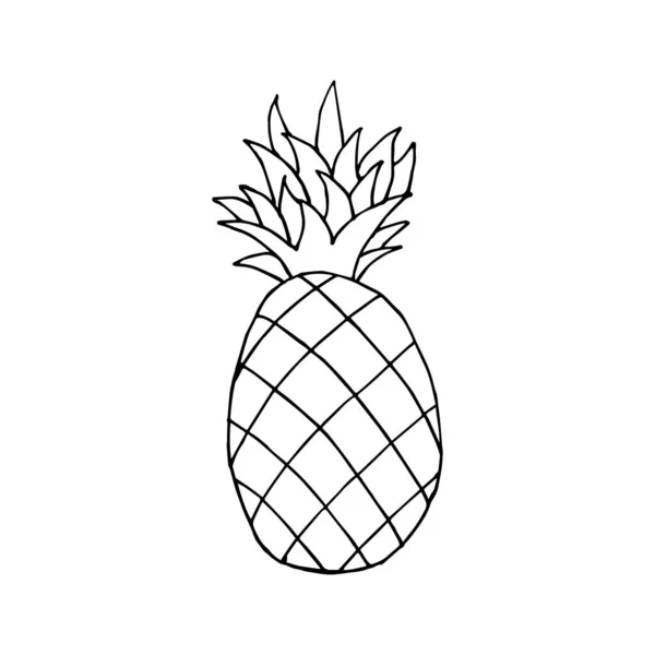 Icône Caniche Ananas Dessin Contour Ananas Isolé Sur Fond Blanc — Image vectorielle