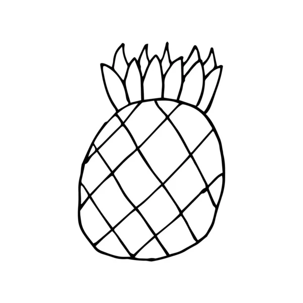 Icône Caniche Ananas Dessin Contour Ananas Isolé Sur Fond Blanc — Image vectorielle