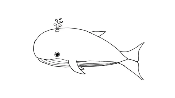 クジラめ 手描きかわいいクジラの漫画のベクトルイラスト ベクトルイラストぬりえブックページ 赤ちゃんと子供の装飾デザイン要素 — ストックベクタ