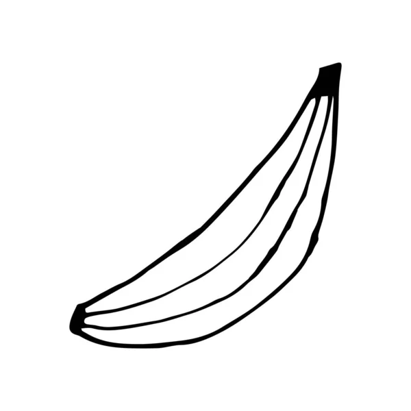 Bazgroły Bananowe Ręcznie Rysowane Banana Odizolowanego Białym Tle Ilustracja Wektora — Wektor stockowy