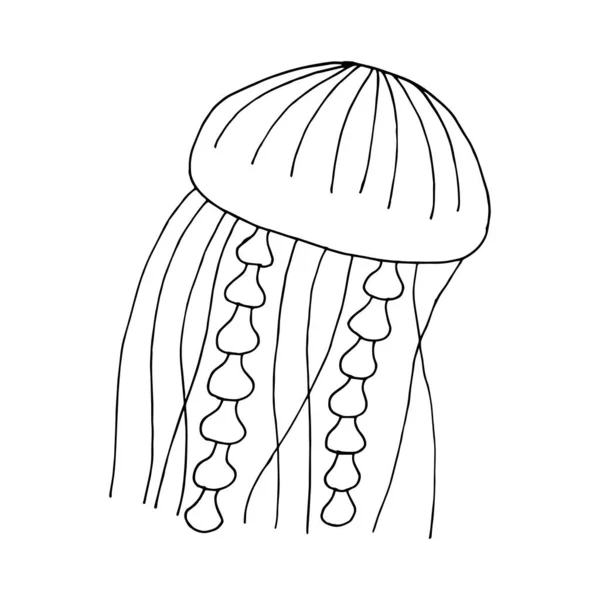 Doodle Meduse Disegnato Mano Una Medusa Isolata Fondo Bianco Adesivo — Vettoriale Stock