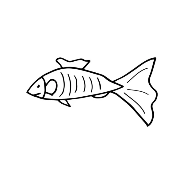 Havsfisk Från Doodle Handritad Havsfisk Isolerad Vit Bakgrund Vektor Illustration — Stock vektor