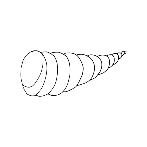 Дудл Морская Раковина Ручной Рисунок Оболочки Белом Фоне Векторная Наклейка — стоковый вектор
