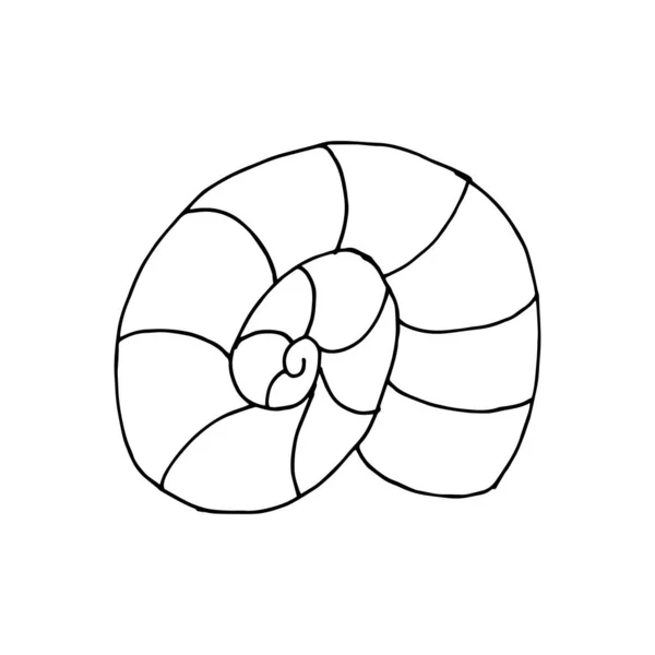 Doodle Conchiglia Disegnato Mano Guscio Isolato Uno Sfondo Bianco Adesivo — Vettoriale Stock