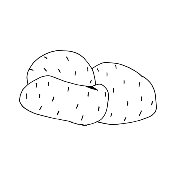 Doodle Potato Hand Drawn Potato Isolated White Background Vector Illustration — Stock Vector