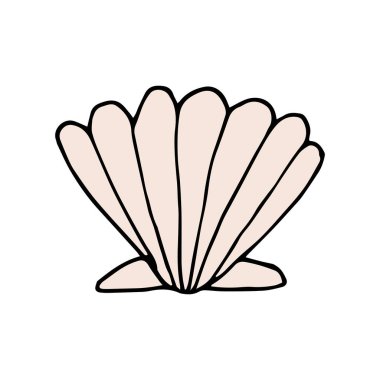 Deniz kabuğunu karala. Beyaz arka planda izole edilmiş bir kabuğun el çizimi. Vektör illüstrasyon etiketi, simge, tasarım ögesi