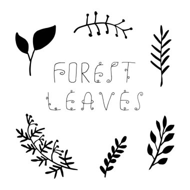 Orman yaprağı el çizimi vektörü. Yapraklar. Sonbahar yaprağı beyaz arka planda izole edilmiş. Botanik orman bitkileri veya Eylül ayı ağaç yaprakları