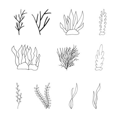 Karalama yosunu seti. Beyaz arka planda izole edilmiş bir uçurtmanın el resmi. Vektör illüstrasyonu