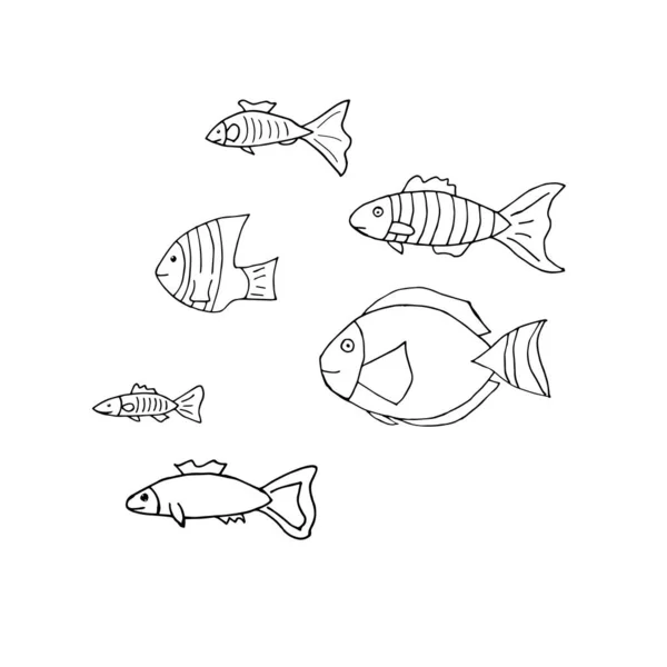 Doodle Sea Fish Set Hand Drawn Kite Isolated White Background — Stock Vector