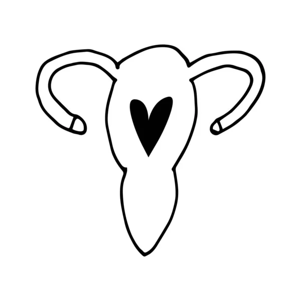 Doodle Uterus Handritad Livmoder Isolerad Vit Bakgrund Vektor Illustration Klistermärke — Stock vektor
