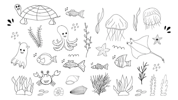 Doodle Elementos Marinhos Conjunto Ícones Marinhos Desenhados Mão Sobre Fundo —  Vetores de Stock