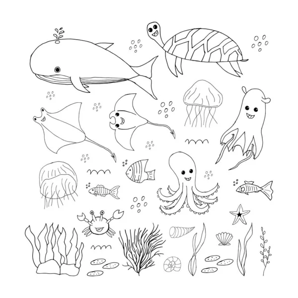 Doodle Marine Elemente Set Handgezeichneter Meeressymbole Auf Weißem Hintergrund Vektorillustration — Stockvektor