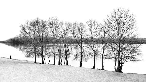 De natuur aan de oever van de rivier. bomen staan, aan de tweede kant van de kustlijn, een zandstrand, en het karakter staat in het verre. Zwart-wit foto. Sfeerfoto — Stockfoto