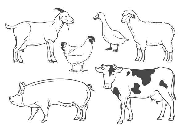 Сільськогосподарських тварин — стоковий вектор