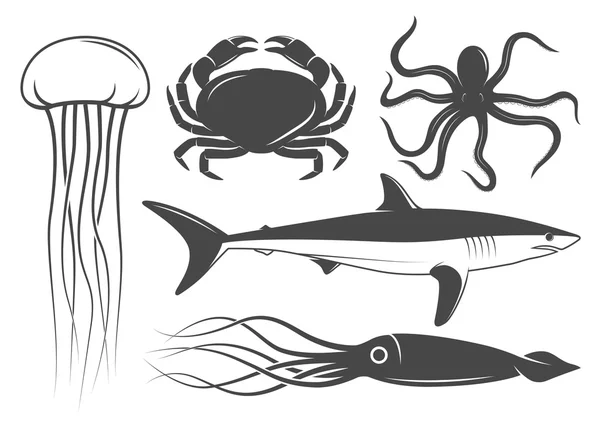 Animales marinos — Vector de stock