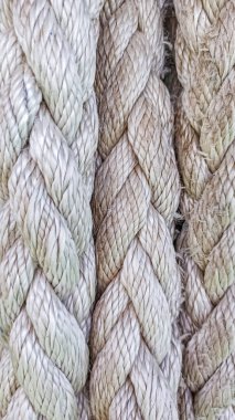 Bir kayığın demirli kahverengi halatı, bir kordon üzerinde sarılmış, ucu düzgünce yana kıvrılmış. Bir yaz günü, gölün üzerindeki tahta iskele..