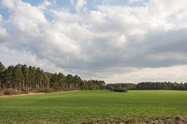 Paisagem na primavera — Fotografia de Stock