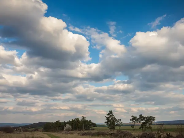 Paisagem na primavera — Fotografia de Stock